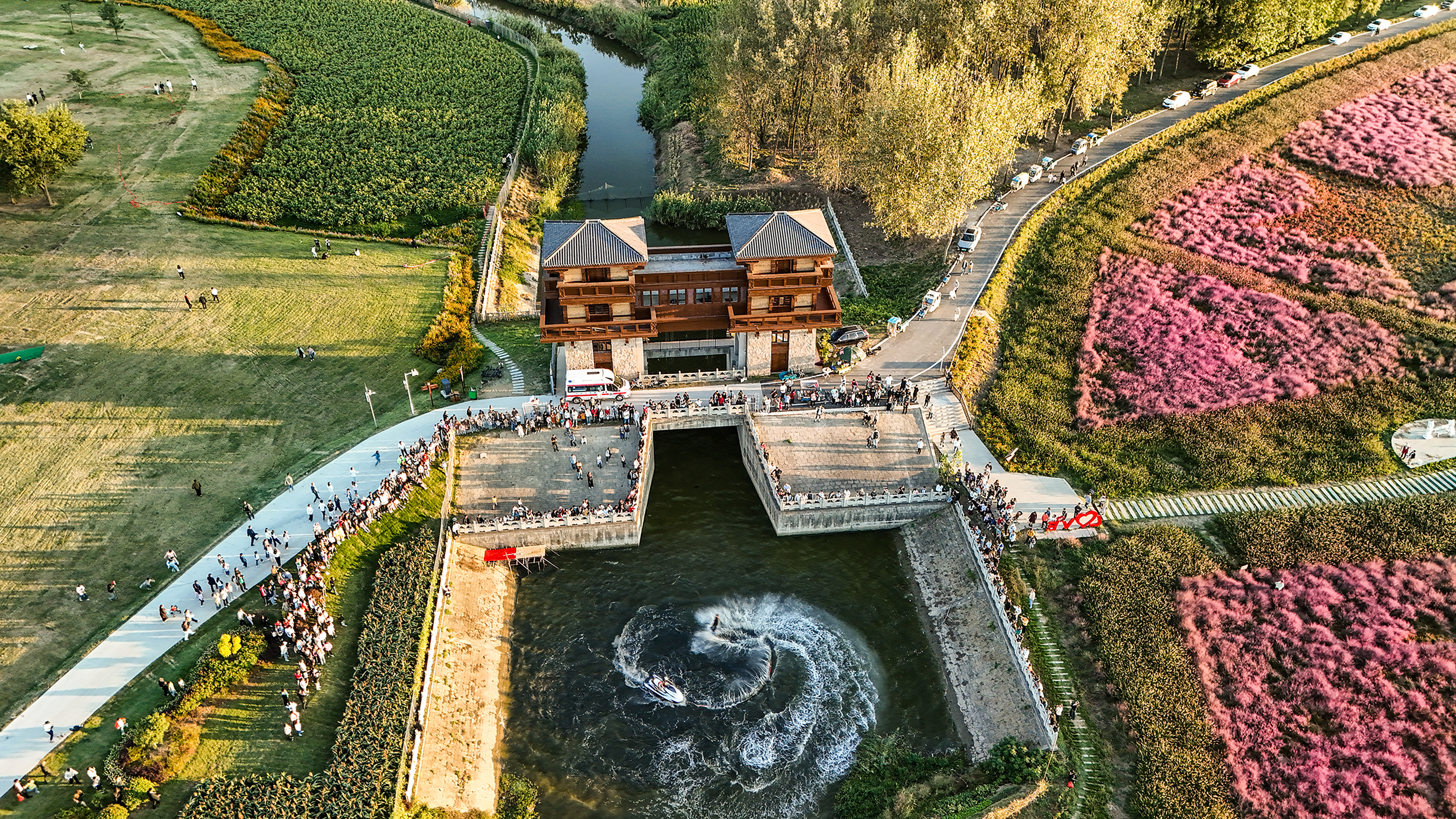 固鎮菊花文旅季